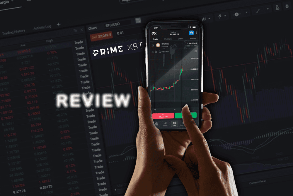 Discover the Potential of Telegram Bot PrimeXBT Discover the Potential of Telegram Bot PrimeXBT